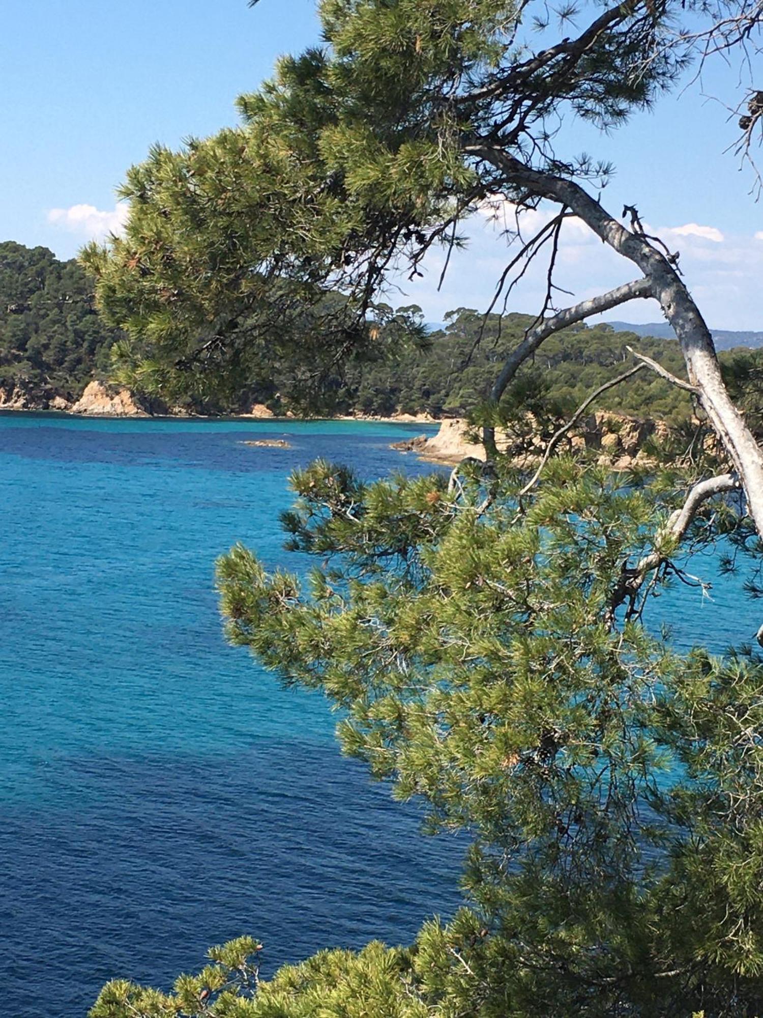 T3 Front De Mer Dernier Etage Vue Mer Petit Havre De Paix Pour Vos Vacances Emplacement Unique Vue Mer Panoramique A 180 Degres Pour Ce T3 En Face De La Plage Front De Mer Vue Sur Les Iles 5 Et Dernier Etage Avec Ascenseur Le Lavandou Exteriör bild