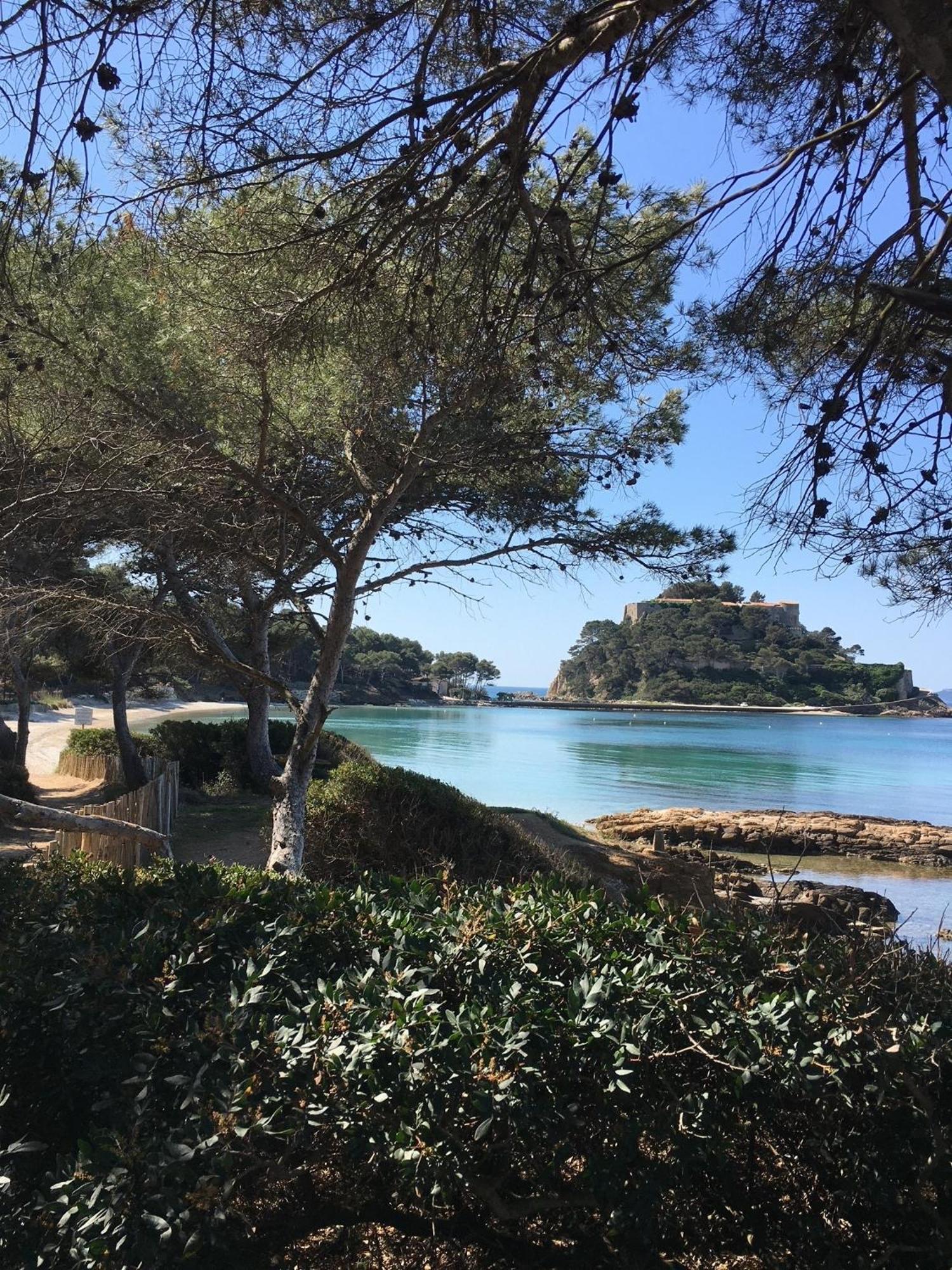 T3 Front De Mer Dernier Etage Vue Mer Petit Havre De Paix Pour Vos Vacances Emplacement Unique Vue Mer Panoramique A 180 Degres Pour Ce T3 En Face De La Plage Front De Mer Vue Sur Les Iles 5 Et Dernier Etage Avec Ascenseur Le Lavandou Exteriör bild