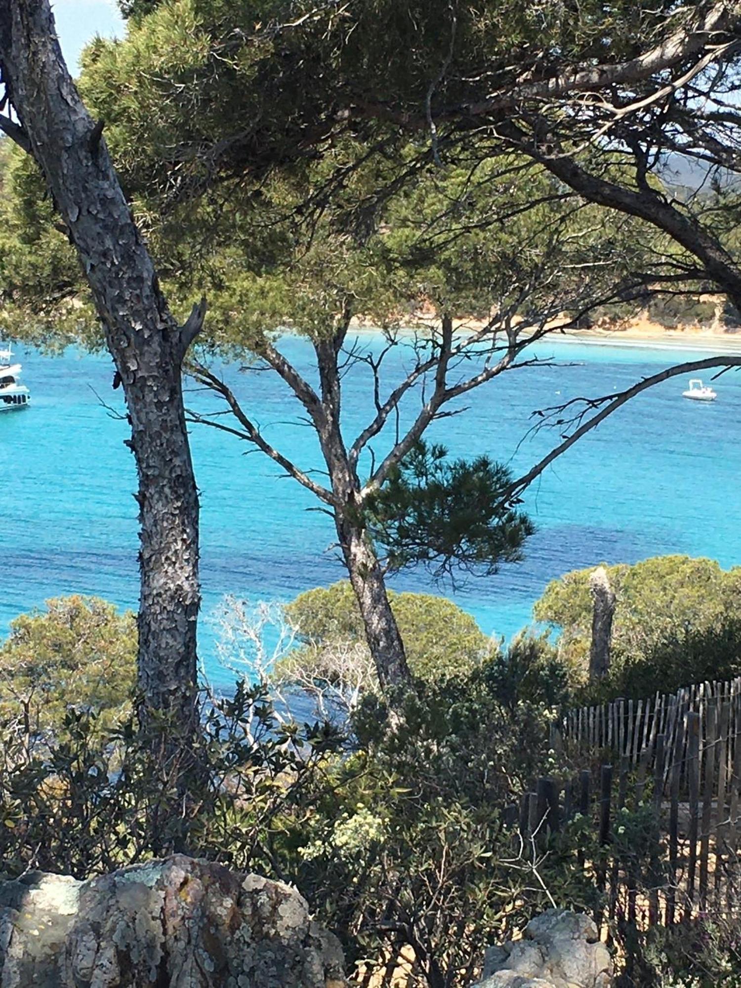 T3 Front De Mer Dernier Etage Vue Mer Petit Havre De Paix Pour Vos Vacances Emplacement Unique Vue Mer Panoramique A 180 Degres Pour Ce T3 En Face De La Plage Front De Mer Vue Sur Les Iles 5 Et Dernier Etage Avec Ascenseur Le Lavandou Exteriör bild
